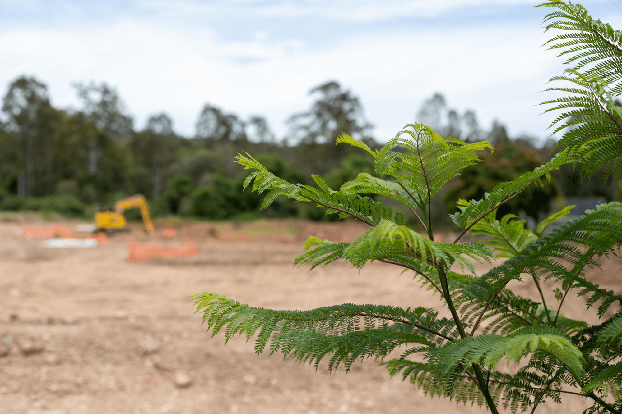 Lot 7, 20 Bahrs Scrub Road, BAHRS SCRUB, QLD 4207