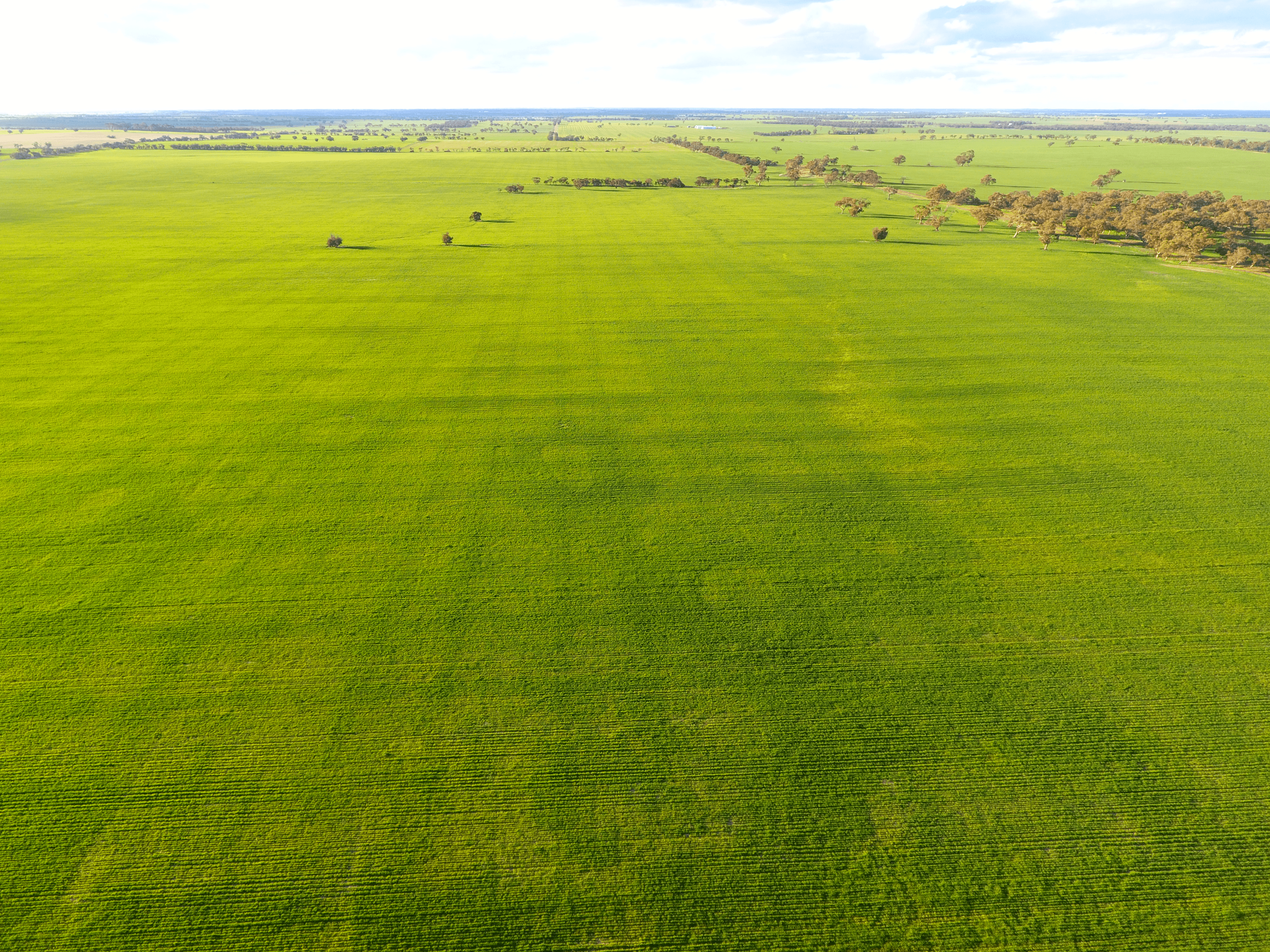 Nhill Netherby Road, NHILL, VIC 3418