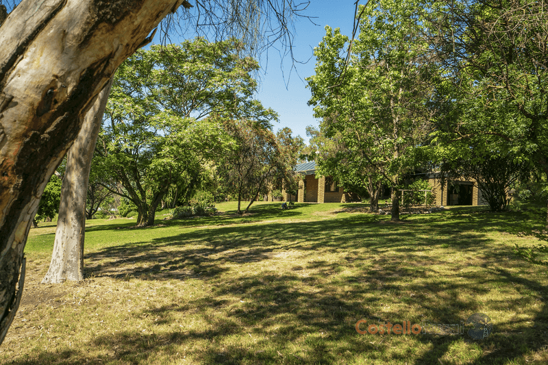 153 Wheeler St, Corryong, VIC 3707