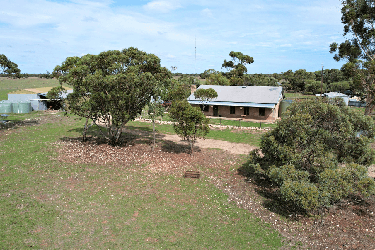 4054 Mallee Highway, Peake, SA 5301