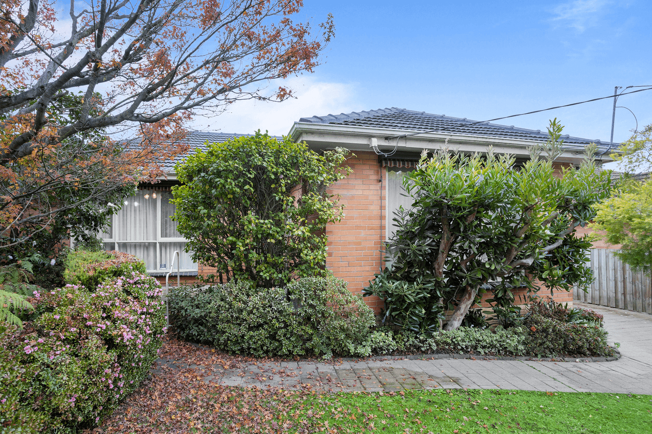 166 Mahoneys Road, FOREST HILL, VIC 3131