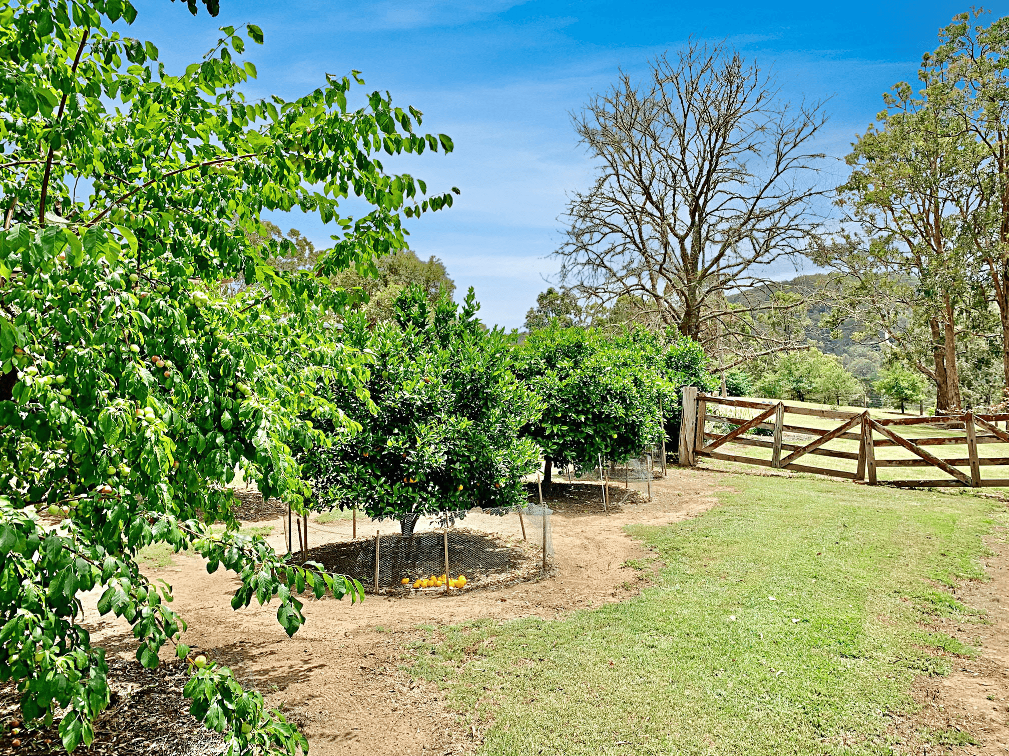 45 Yango Creek Rd, Wollombi, NSW 2325