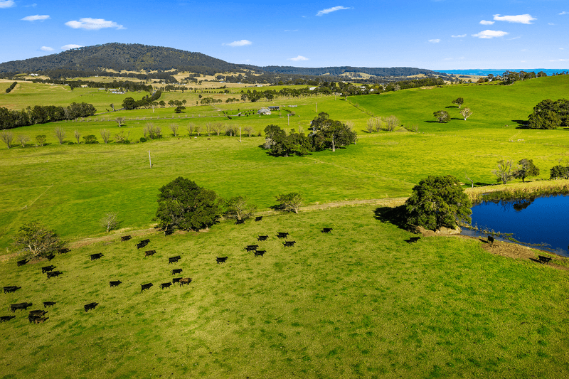 456 Agars Lane, Berry, NSW 2535