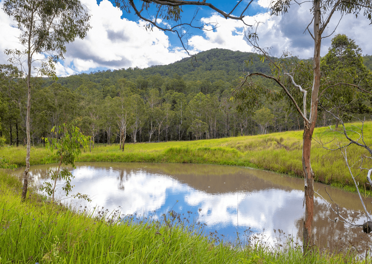 2053 Nowendoc Road, MOUNT GEORGE, NSW 2424