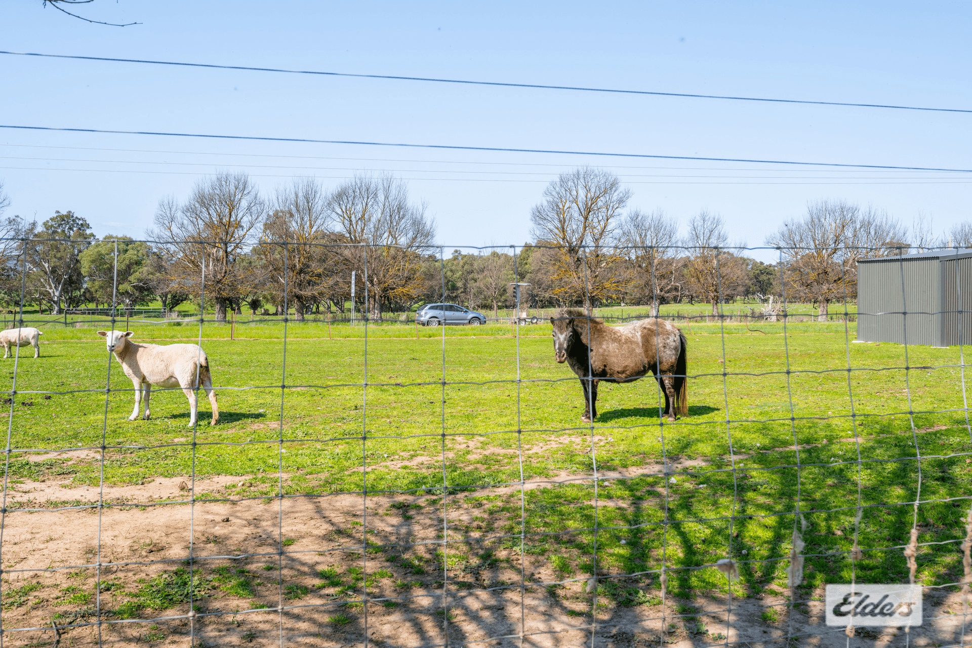 1061 Glenellen Road, Gerogery, NSW 2642