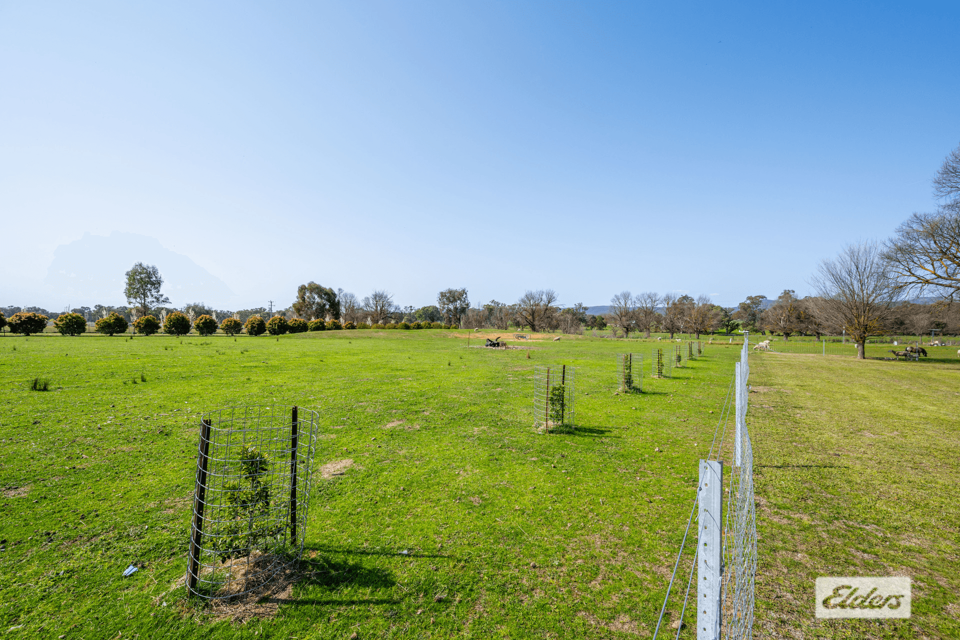 1061 Glenellen Road, Gerogery, NSW 2642