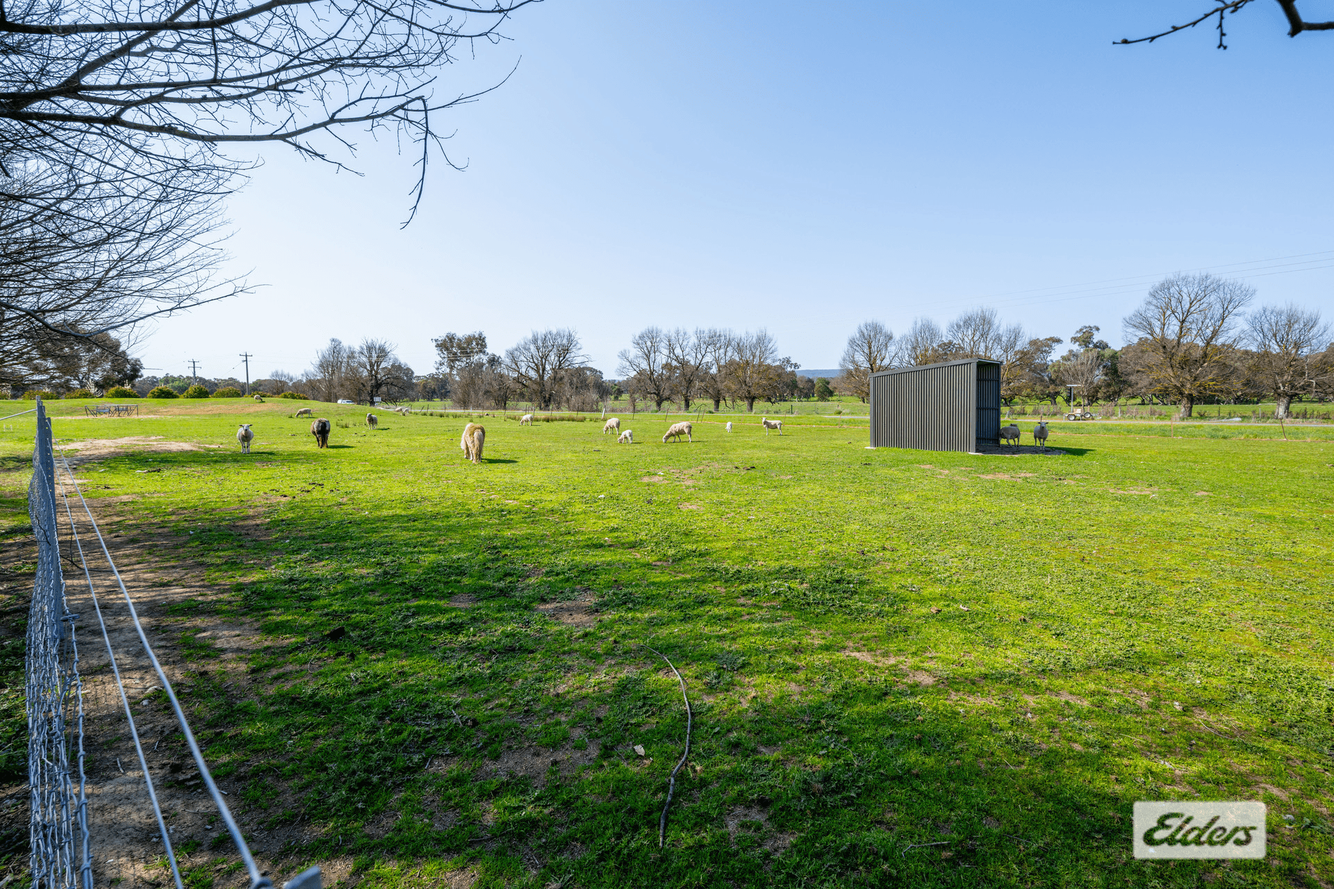 1061 Glenellen Road, Gerogery, NSW 2642