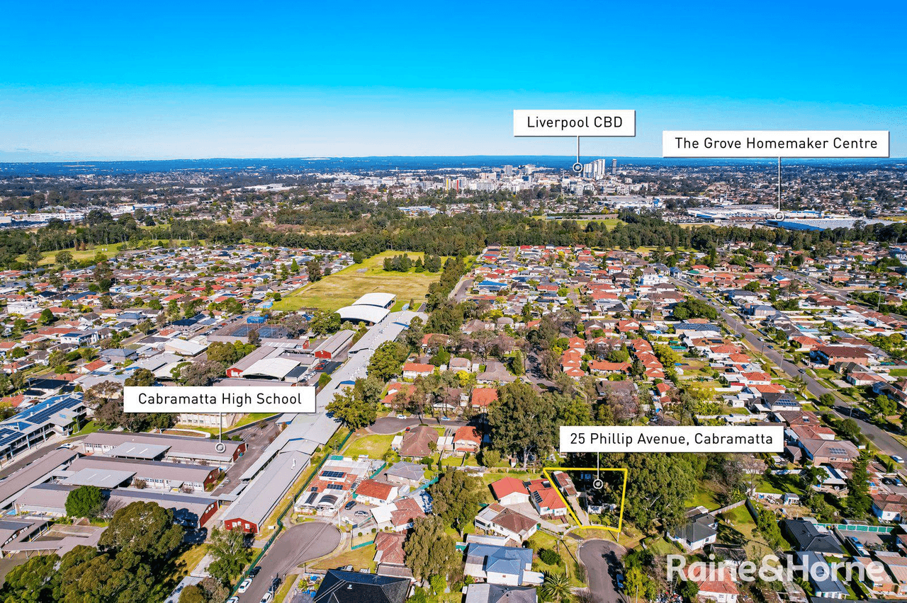 25 Phillip Avenue, CABRAMATTA, NSW 2166