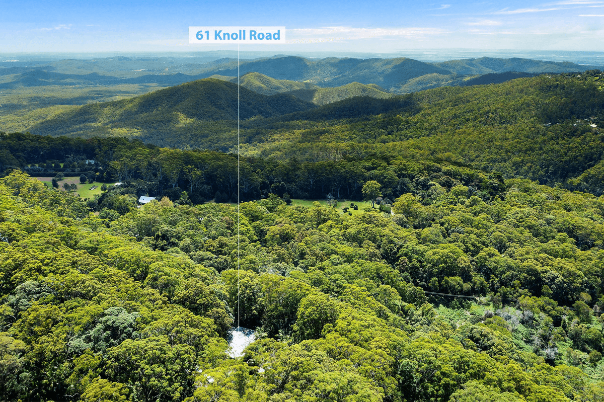 61 Knoll Road, Tamborine Mountain, QLD 4272