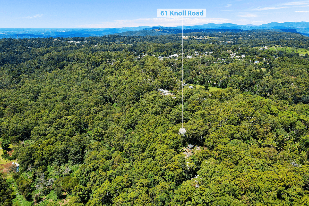 61 Knoll Road, Tamborine Mountain, QLD 4272