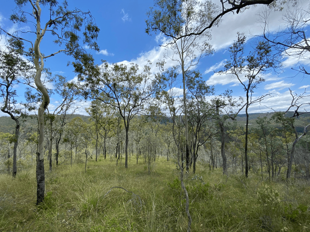 Lot 662 Murphys Creek Road, MURPHYS CREEK, QLD 4352