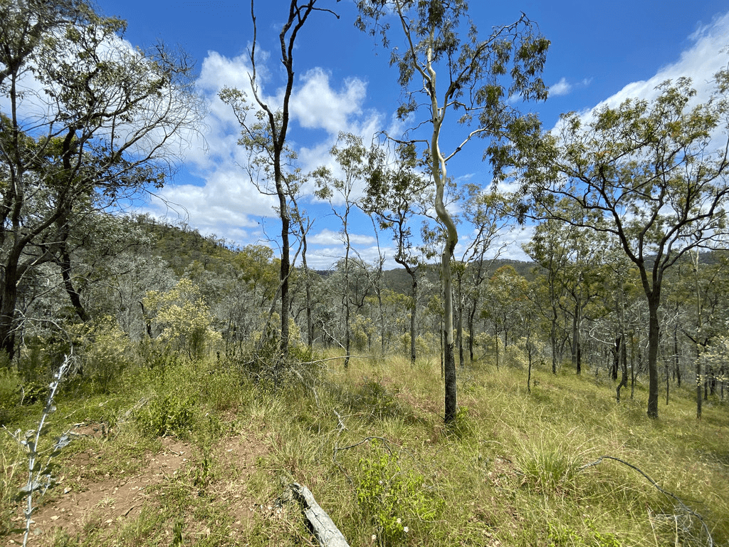 Lot 662 Murphys Creek Road, MURPHYS CREEK, QLD 4352