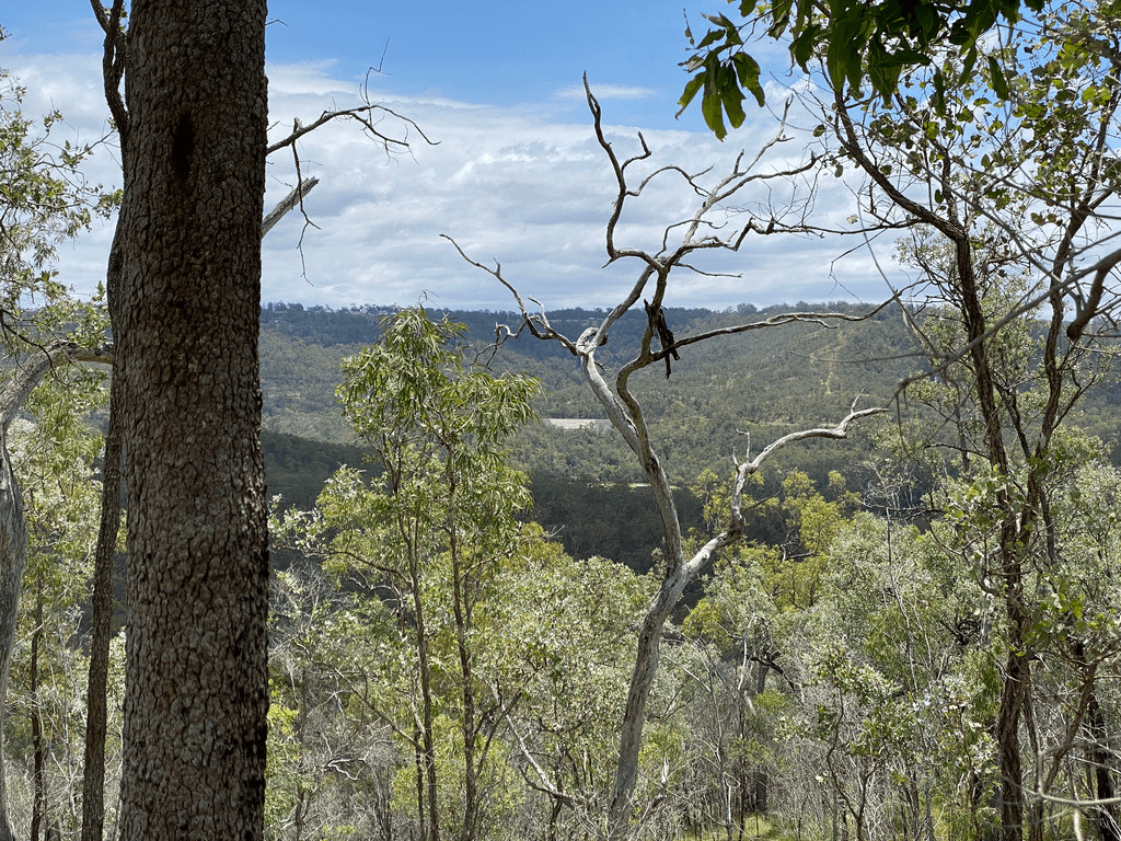 Lot 662 Murphys Creek Road, MURPHYS CREEK, QLD 4352