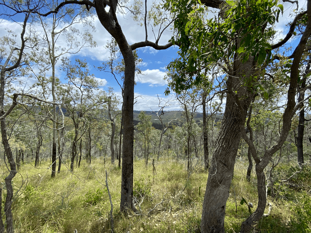 Lot 662 Murphys Creek Road, MURPHYS CREEK, QLD 4352