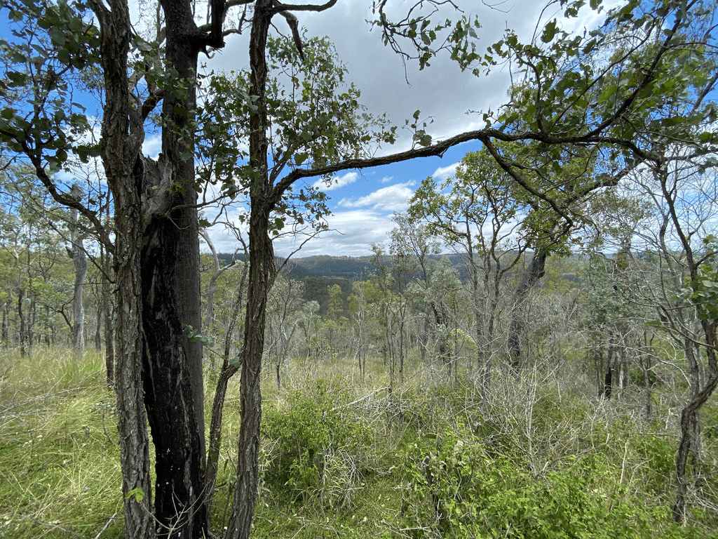 Lot 662 Murphys Creek Road, MURPHYS CREEK, QLD 4352