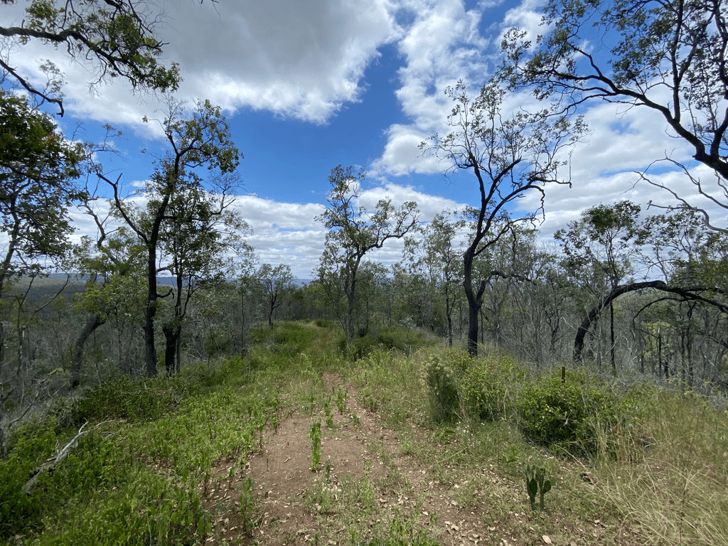 Lot 662 Murphys Creek Road, MURPHYS CREEK, QLD 4352