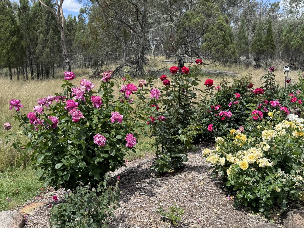 3910 Bundarra Rd, Inverell, NSW 2360