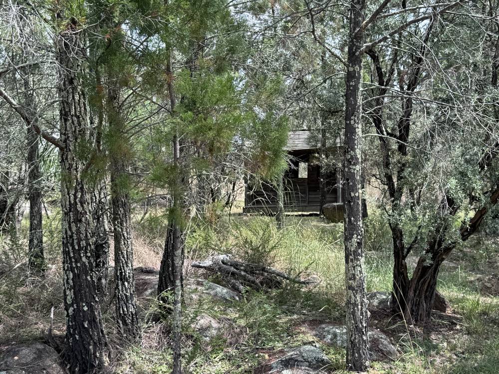 3910 Bundarra Rd, Inverell, NSW 2360