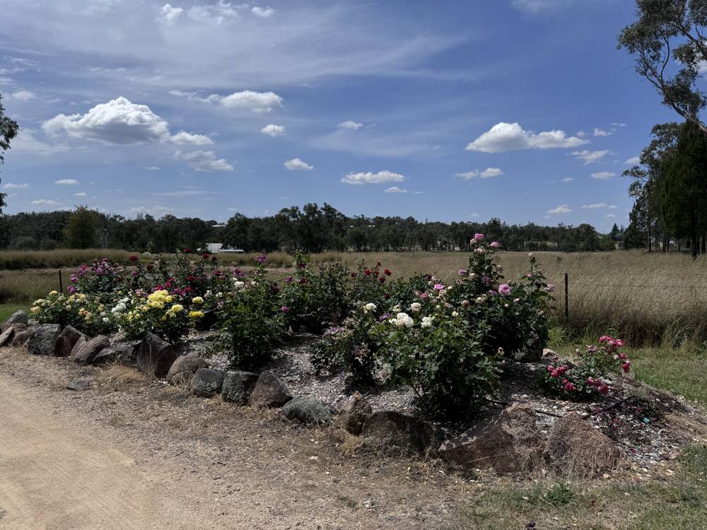 3910 Bundarra Rd, Inverell, NSW 2360