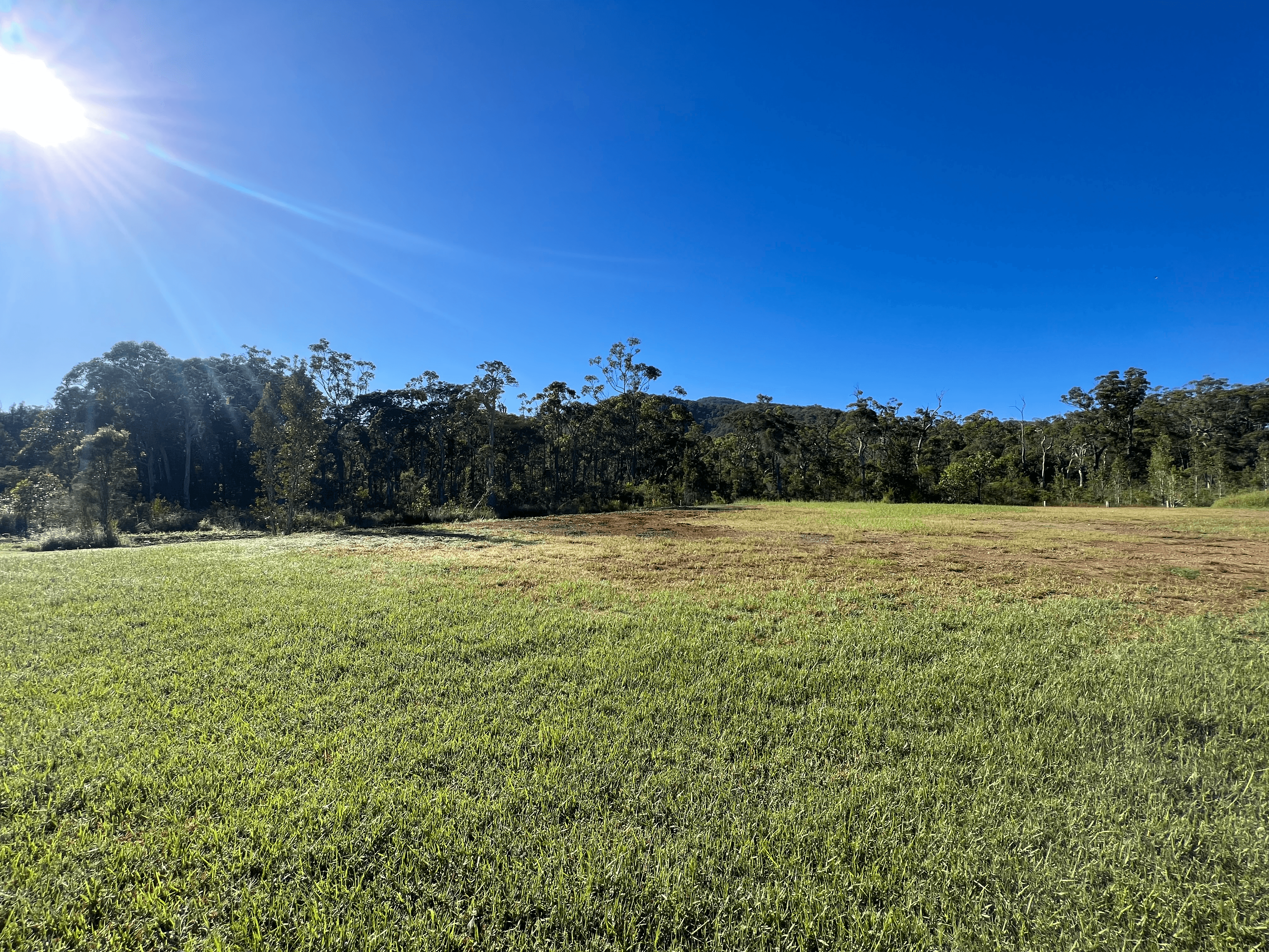 32 Botanic Drive, KEW, NSW 2439