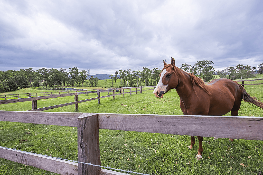 110 Valley Crest Road, Cooranbong, NSW 2265