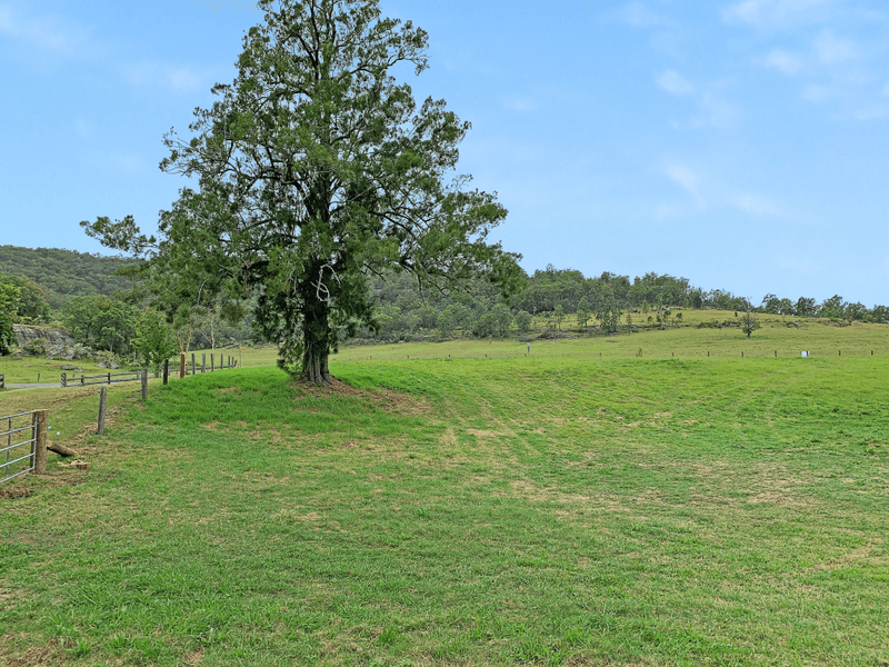 2806 Paynes Crossing Rd, Wollombi, NSW 2325