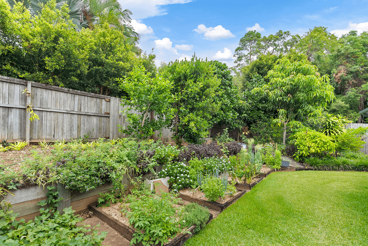 4 Yellow Cedar Pl, Palmwoods, QLD 4555