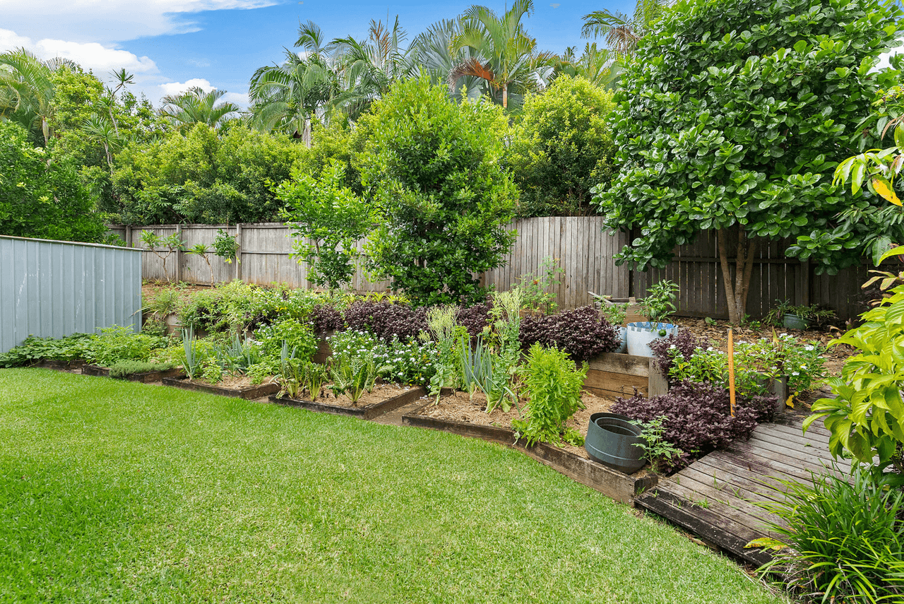 4 Yellow Cedar Pl, Palmwoods, QLD 4555