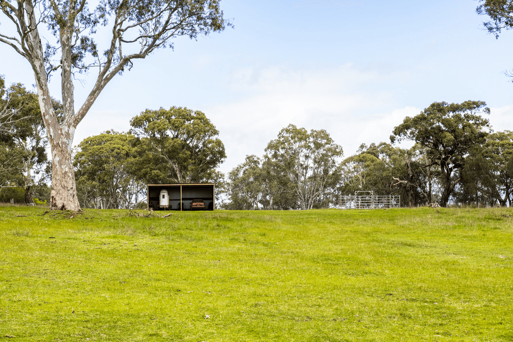 4242 COLERAINE-BALMORAL Road, BALMORAL, VIC 3407