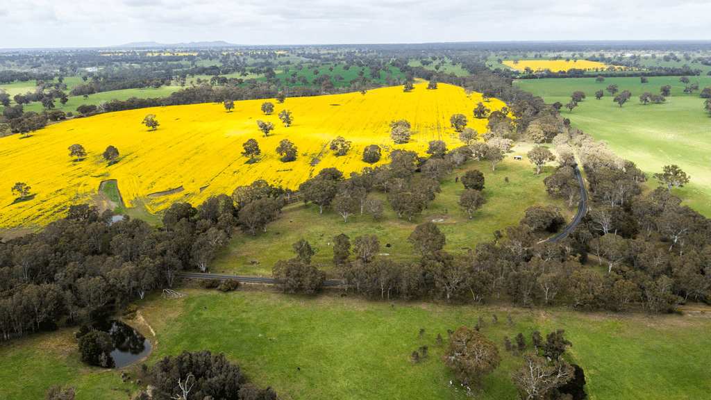 4242 COLERAINE-BALMORAL Road, BALMORAL, VIC 3407