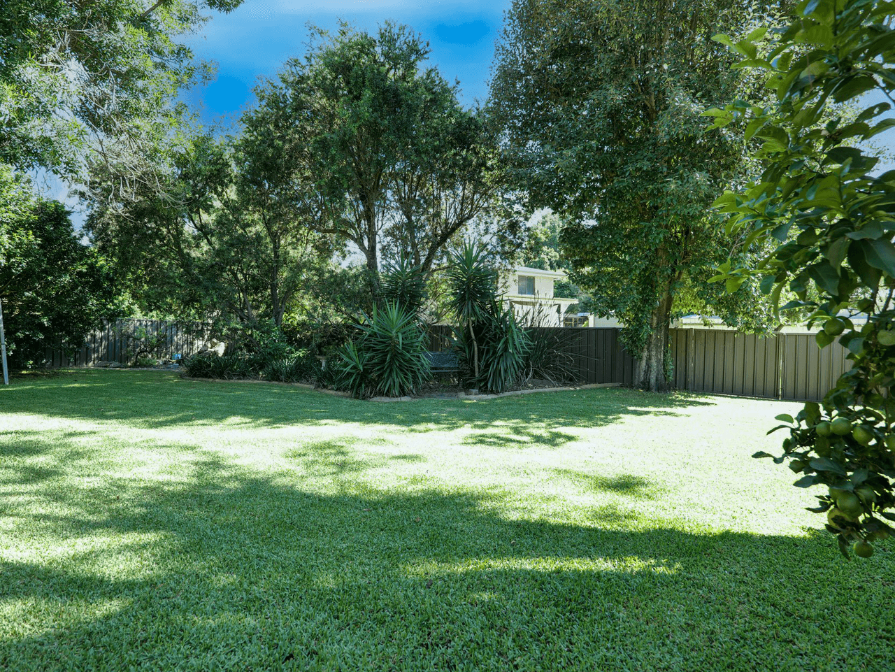 18 Springdale Drive, SINGLETON, NSW 2330