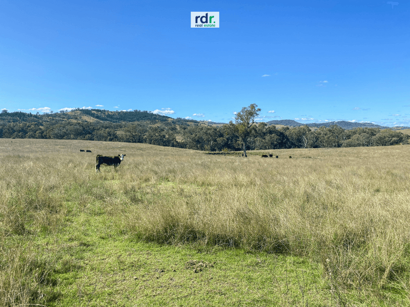 557 Pindari Dam Road, Inverell, NSW 2360