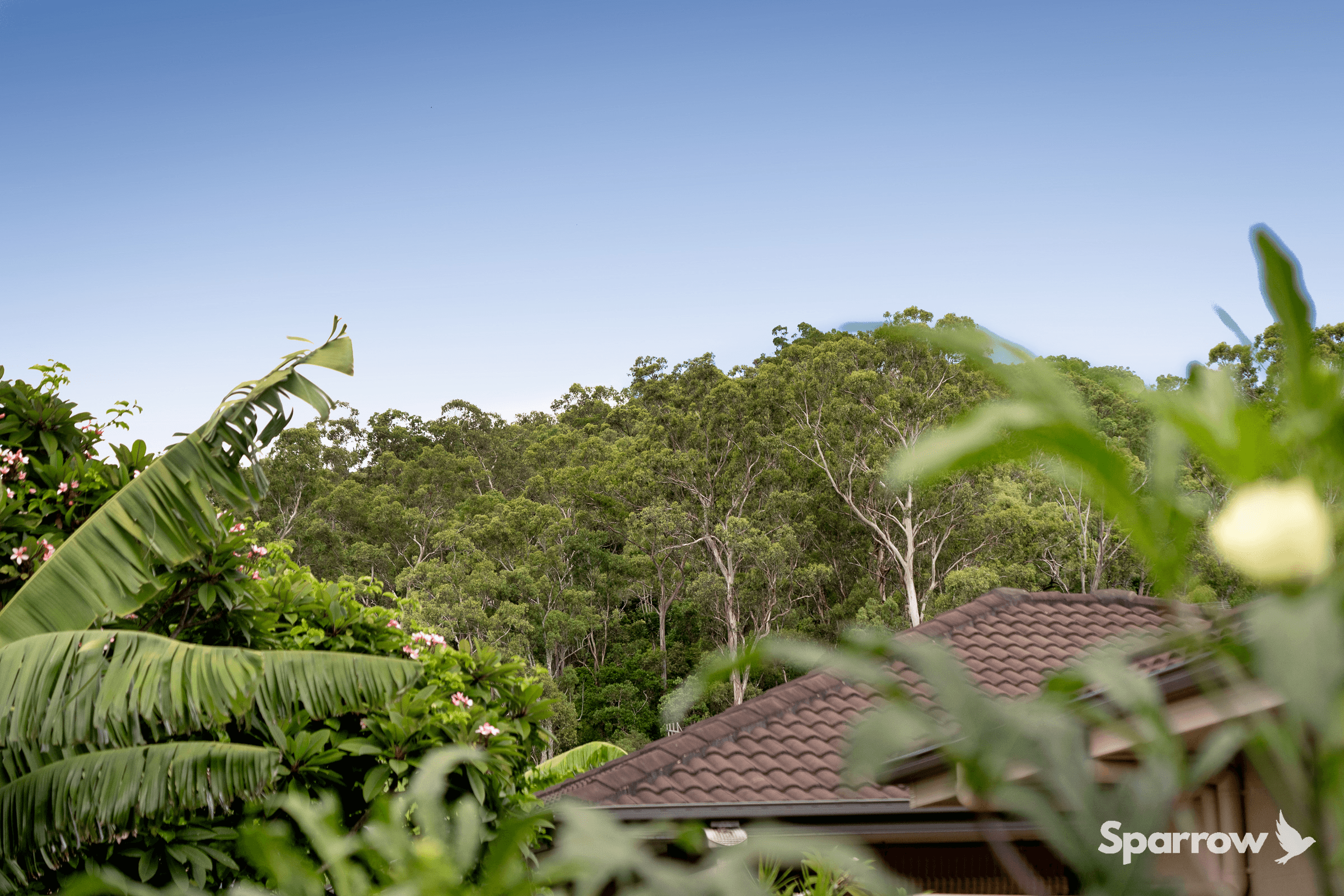26 Vista Circuit, BAHRS SCRUB, QLD 4207