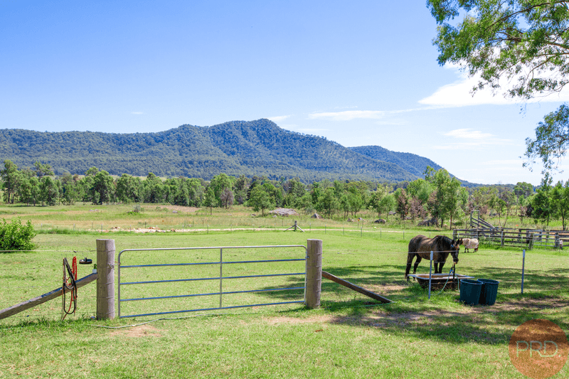 587 Wollombi Road, BROKE, NSW 2330