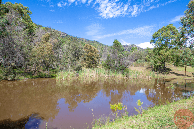 587 Wollombi Road, BROKE, NSW 2330