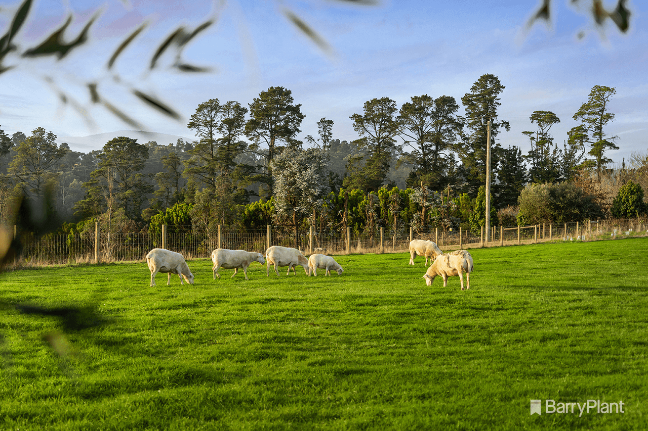 225 Queens Road, Wandin North, VIC 3139