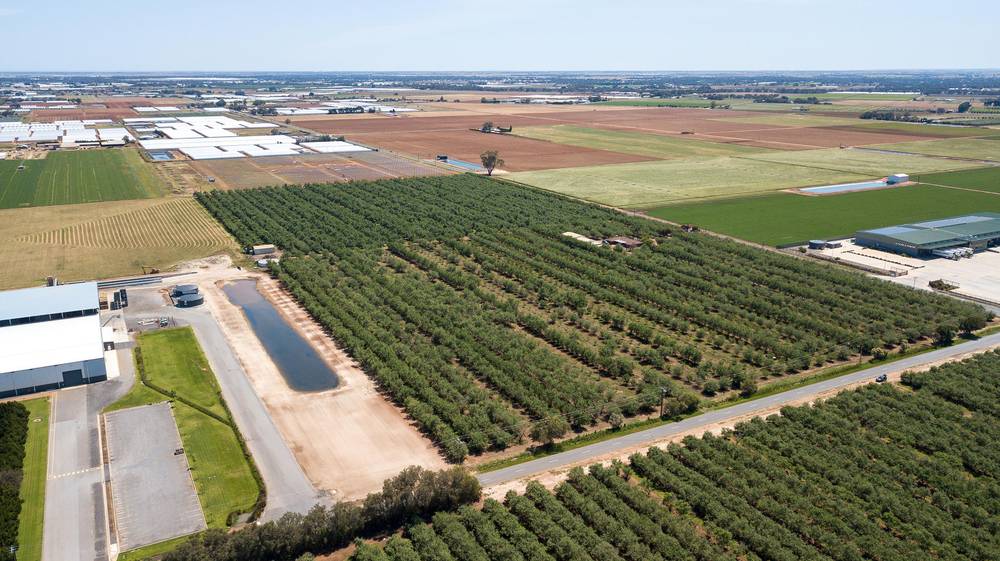 Lot 52 & Lot 53 Robert Road, Virginia, SA 5120