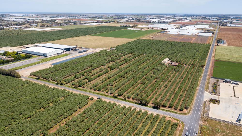 Lot 52 & Lot 53 Robert Road, Virginia, SA 5120