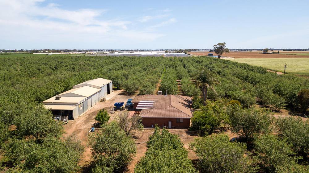 Lot 52 & Lot 53 Robert Road, Virginia, SA 5120