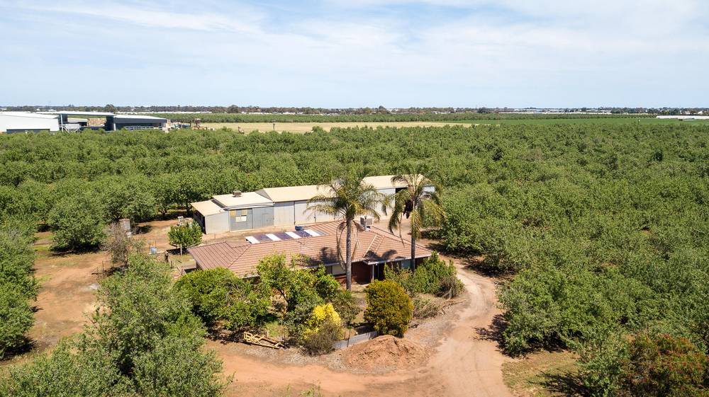 Lot 52 & Lot 53 Robert Road, Virginia, SA 5120