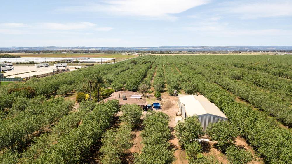 Lot 52 & Lot 53 Robert Road, Virginia, SA 5120