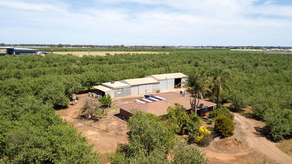 Lot 52 & Lot 53 Robert Road, Virginia, SA 5120