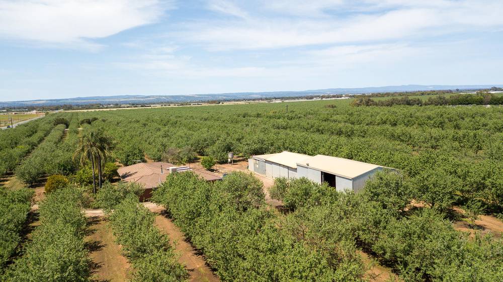 Lot 52 & Lot 53 Robert Road, Virginia, SA 5120