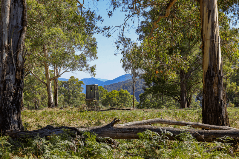 581 Lower Tablelands Road, Dartmouth, VIC 3701