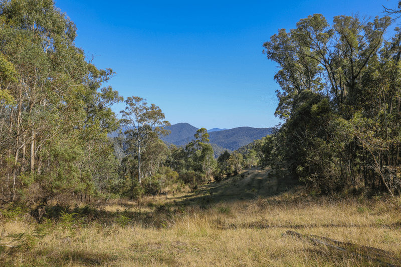 581 Lower Tablelands Road, Dartmouth, VIC 3701