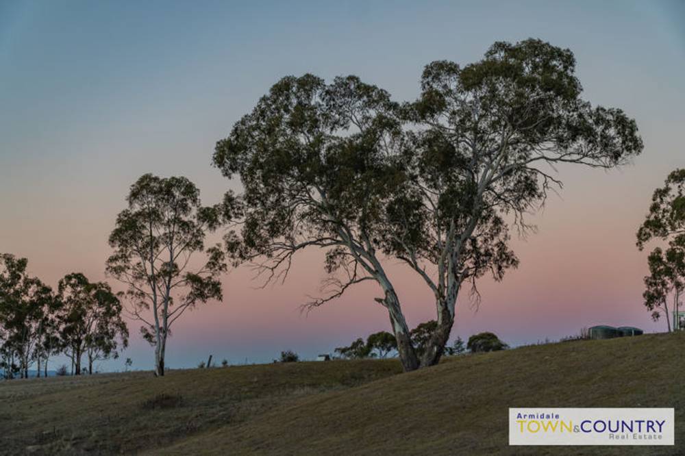 53C The Avenue, ARMIDALE, NSW 2350