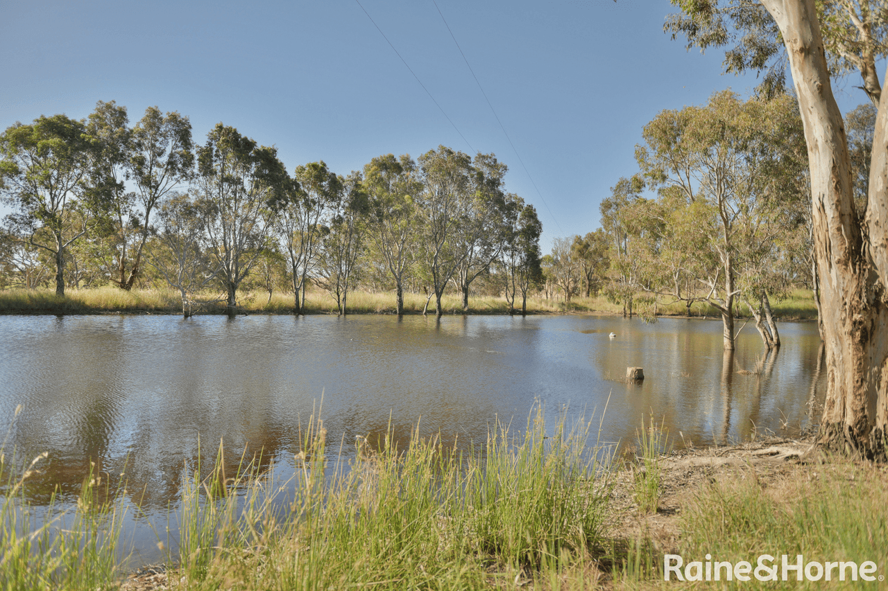 1818 Barwang Road, YOUNG, NSW 2594