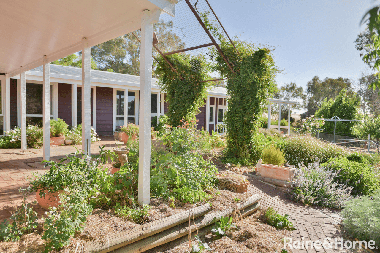 1818 Barwang Road, YOUNG, NSW 2594