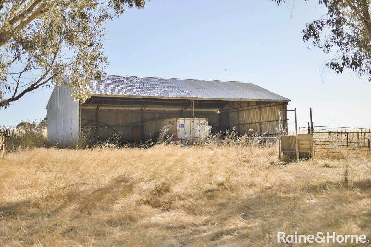 1818 Barwang Road, YOUNG, NSW 2594