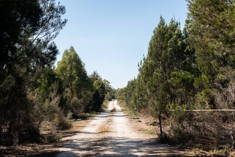 1074 Greens Beach Road, CLARENCE POINT, TAS 7270